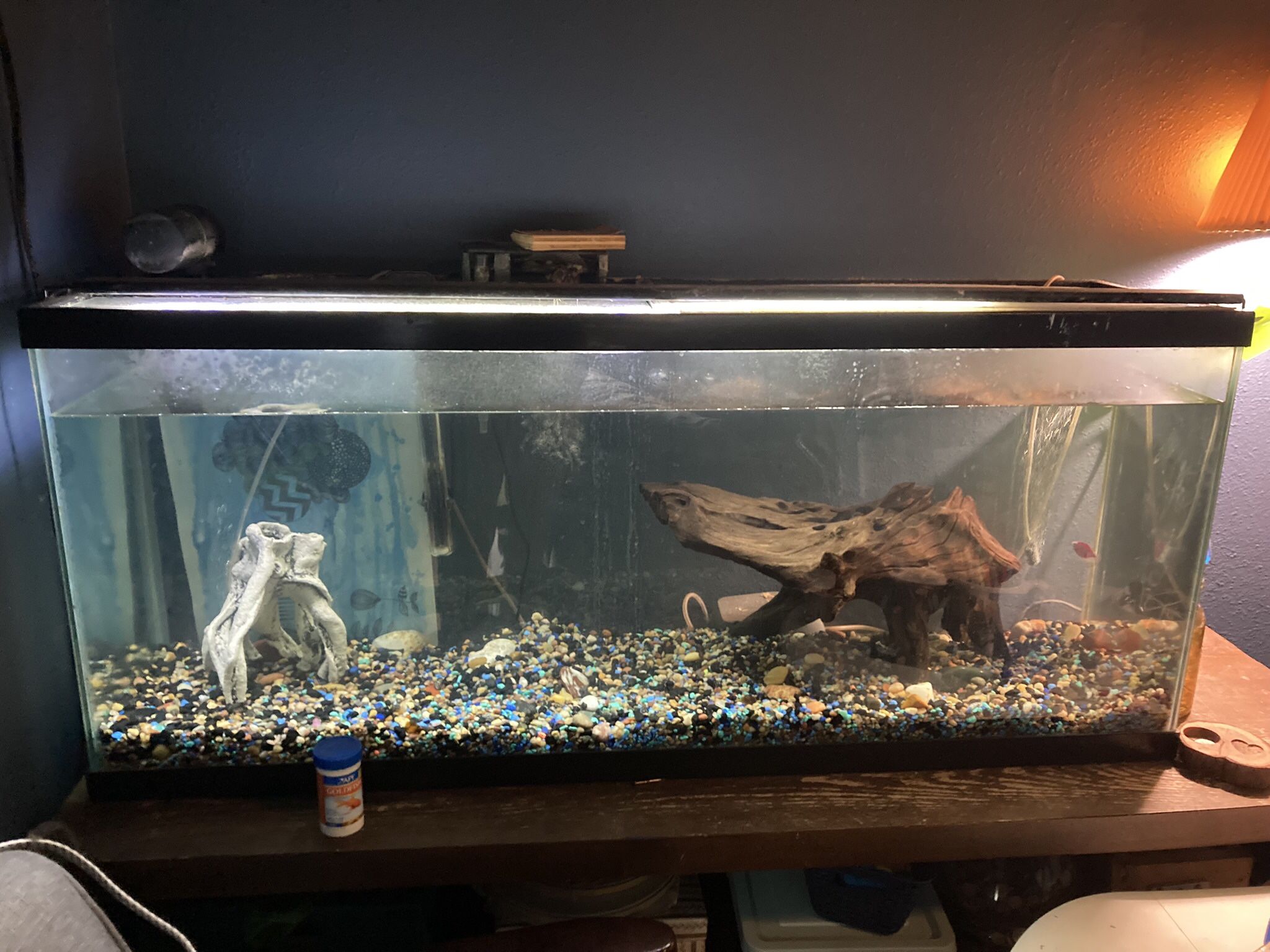 55 Gal Tank With Everything You Need