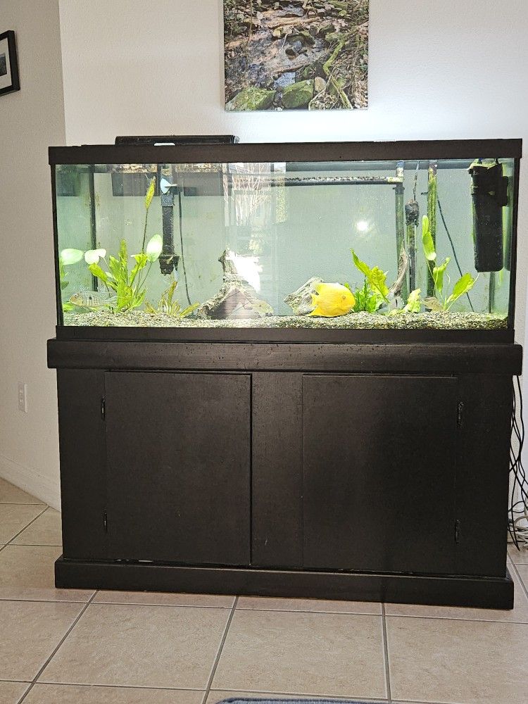 75 Gallon Aquarium and Cabinet