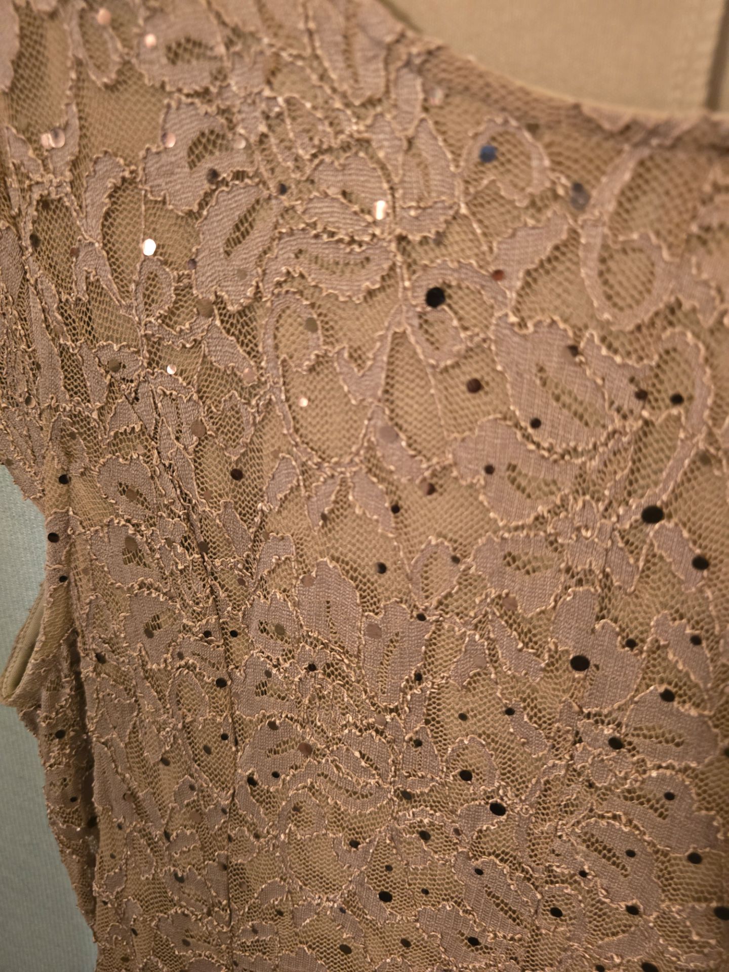 Elegant Champagne Lace Evening Dress – XL – Soft Sparkle Formal Gown