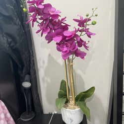 Beautiful Flower Vase