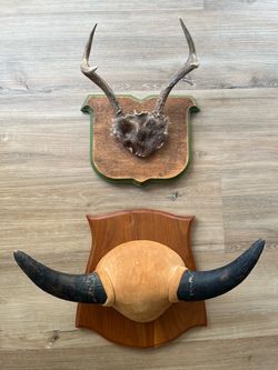 2 Taxidermy Small Antler & Horn Wood Plaque Mounts