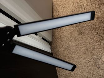 Rigors Dual Head LED Desk Lamp