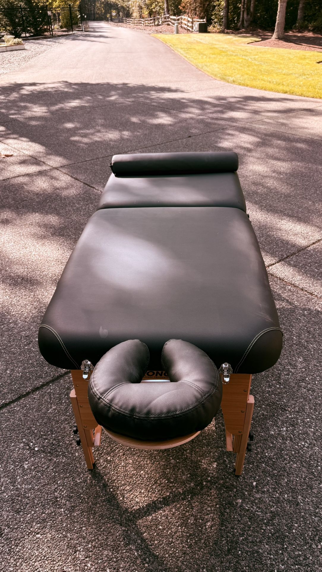 Massage Table: Stronglite Professional Mobile Massage Table