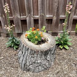 Real Wood Log Planter