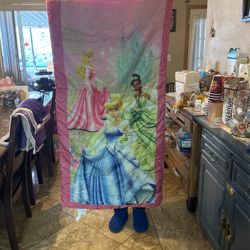 Princess Sleeping Bag