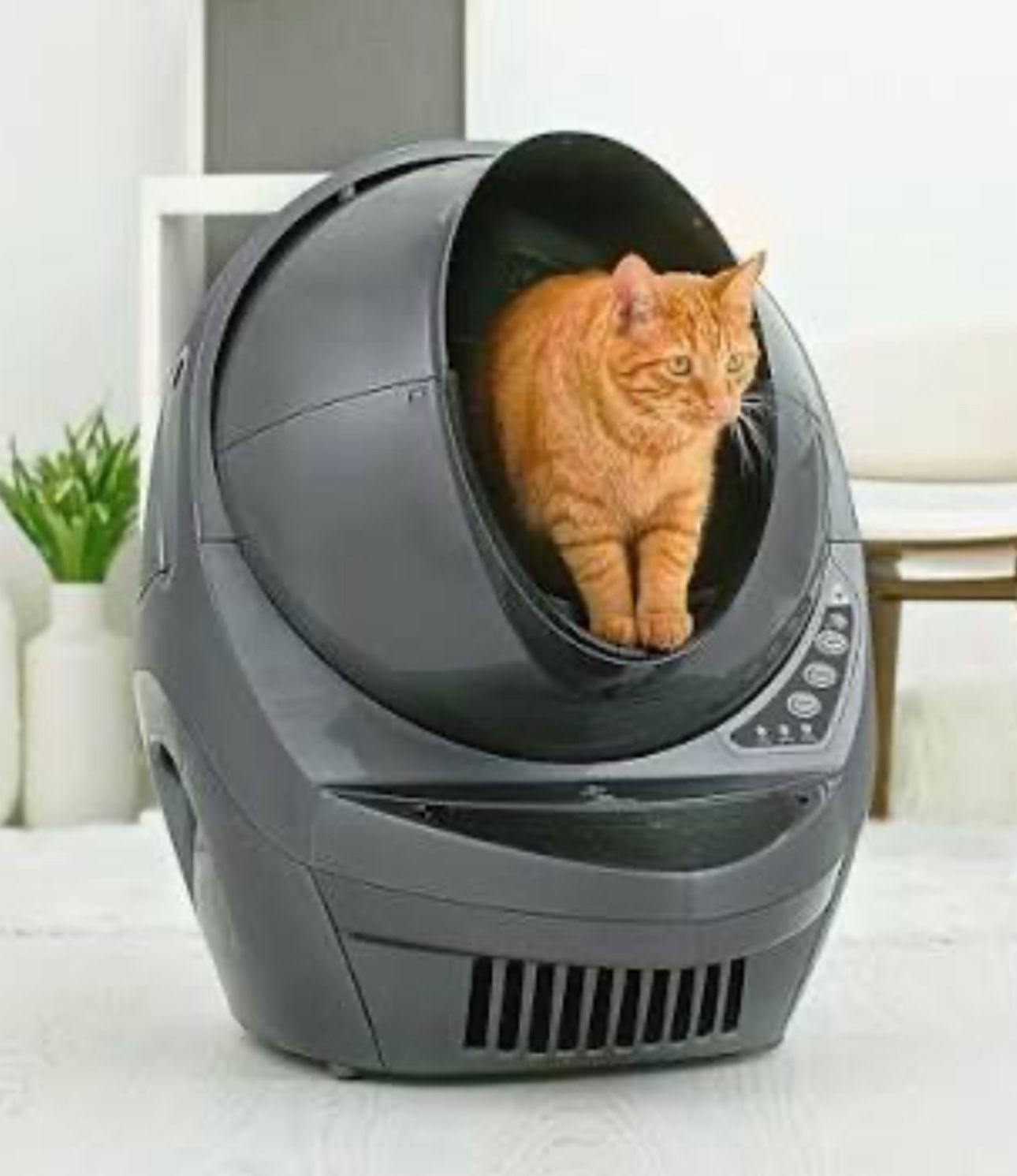 Litter Robot 3