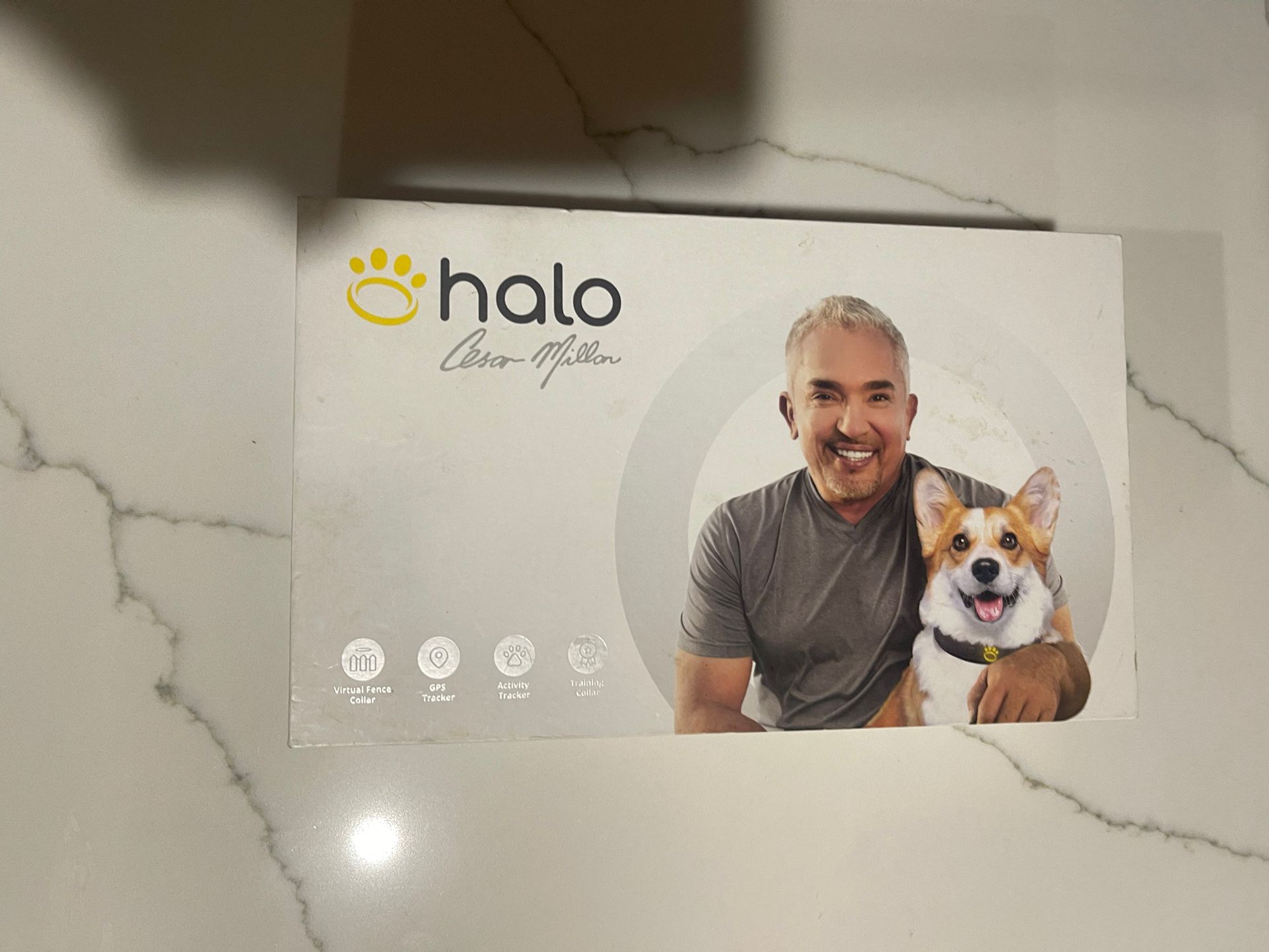 Halo Dog Collar