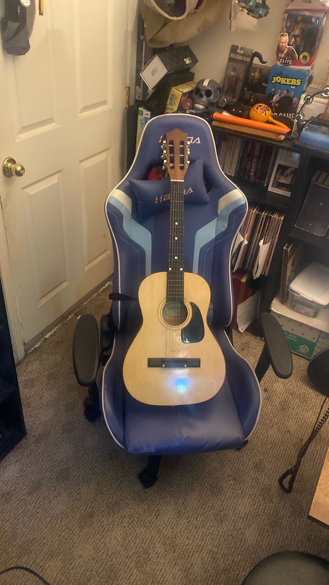 Acoustic Guitar