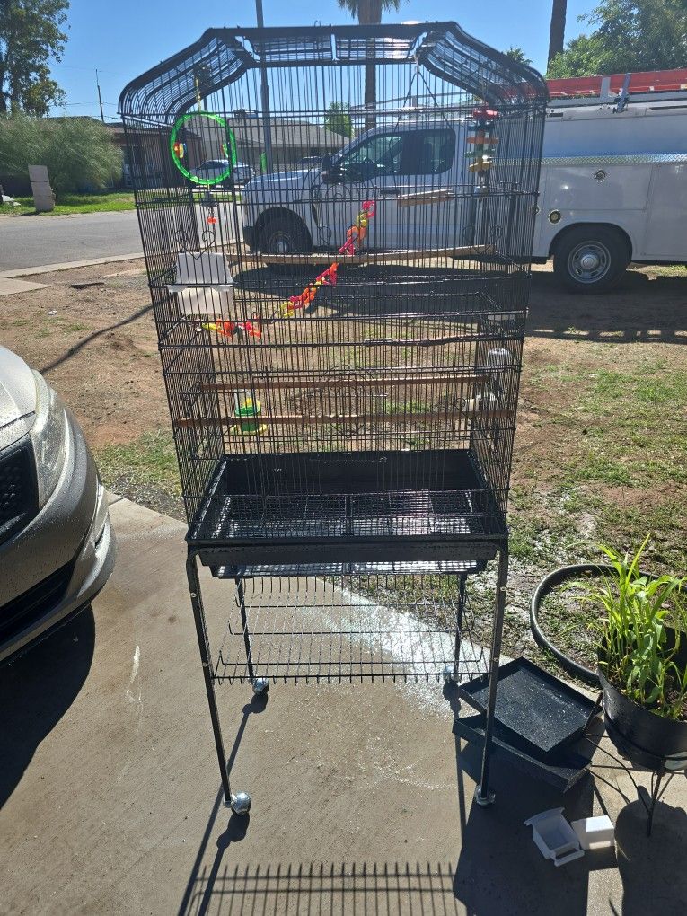 Bird Cage