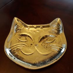 Cat Bowl In Weeki Wachee Spring Hill