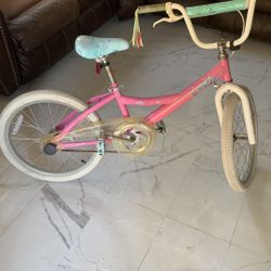 Bicycle  For Girl 20” Wheel