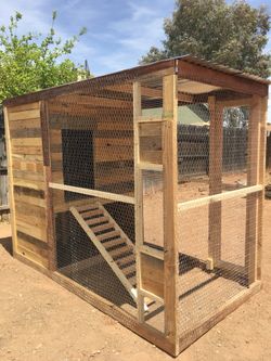 Custom Chicken Coop