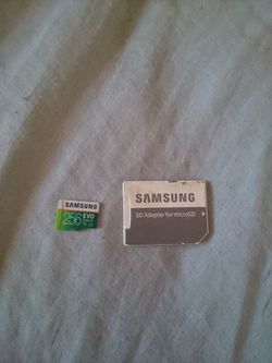 Micro SD 256 GB + Adapter (Samsung EVO)