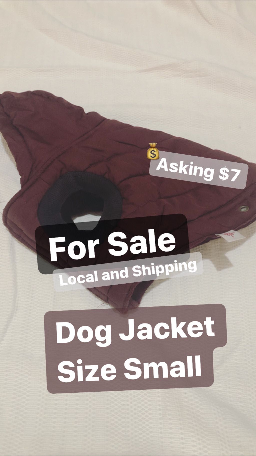 Burgundy Dog Jacket 🐶🧥 Size SMALL