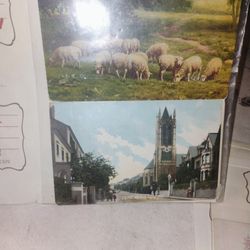 Old Postcards 1900s 1.00 Ea
