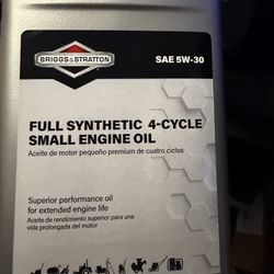 New Briggs&stratton SAE 5W30 4 Cycle Small Engine 