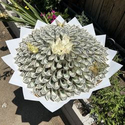 Money Bouquets🌹💵