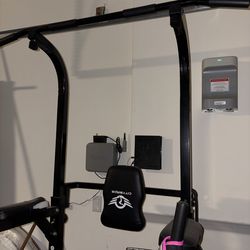 Pull Up Bar