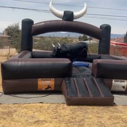 Toro loco