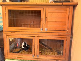 Guinea pig cage