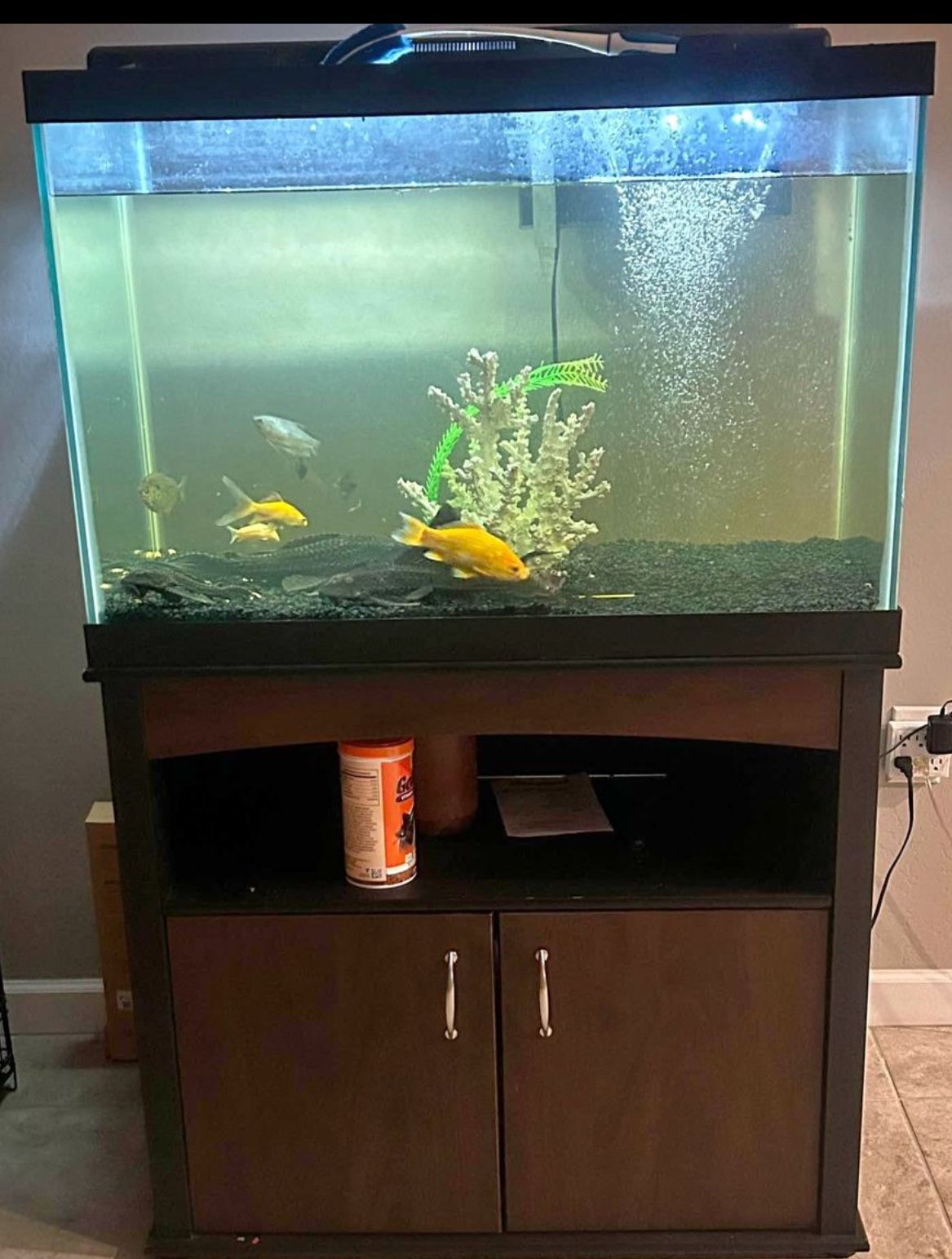 Have Just A 60 Gallon Fish Tank 