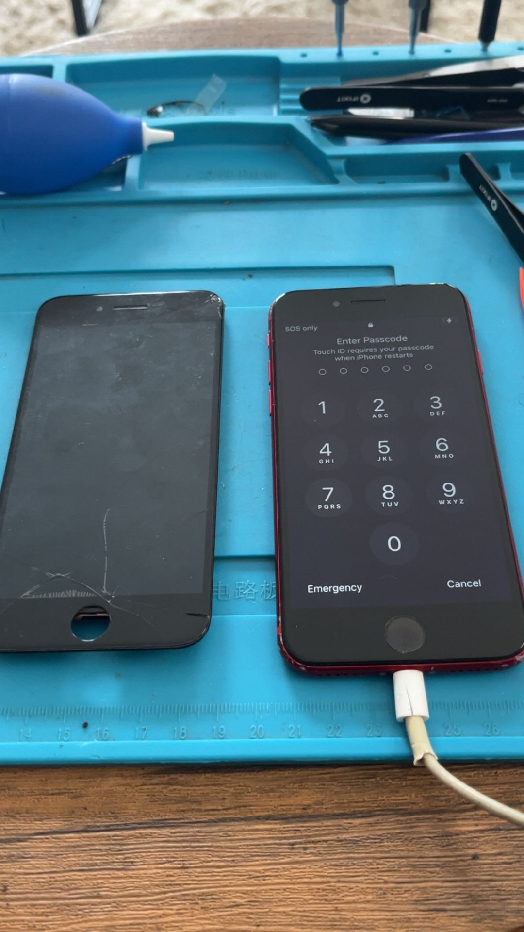 2020 iPhone SE