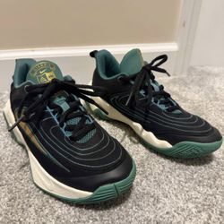 Youth Nike Giannis Sneakers Size 2.5Y