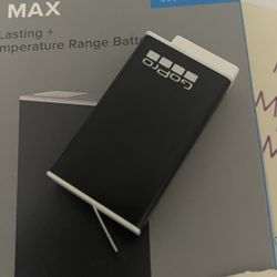 GoPro Endurance battery 