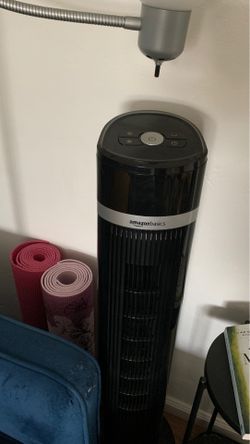 Fan