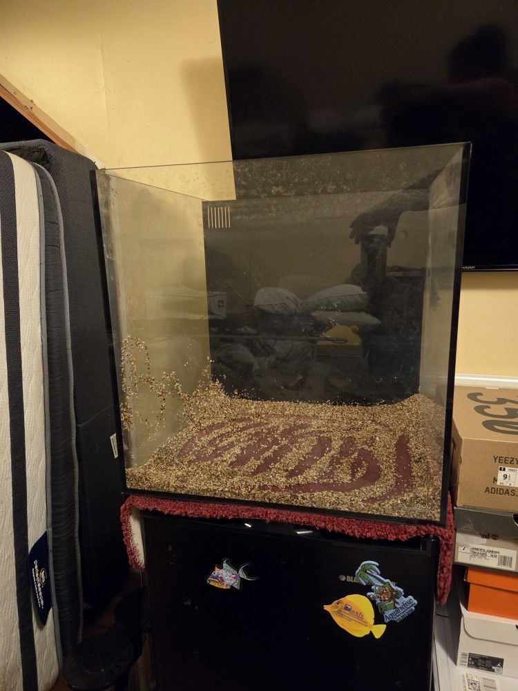  42 gallon Rimless Cube Aquarium 