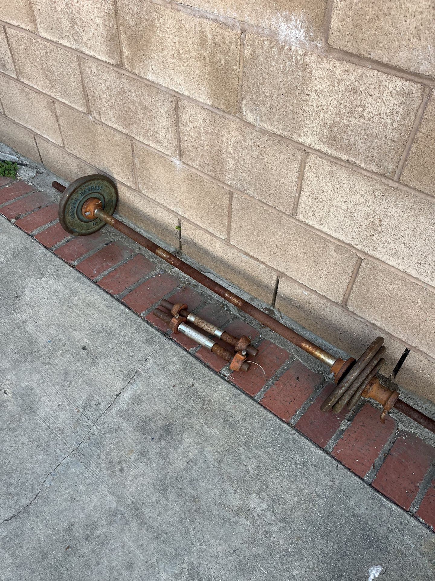 Weights 40 Pounds Plus Bars