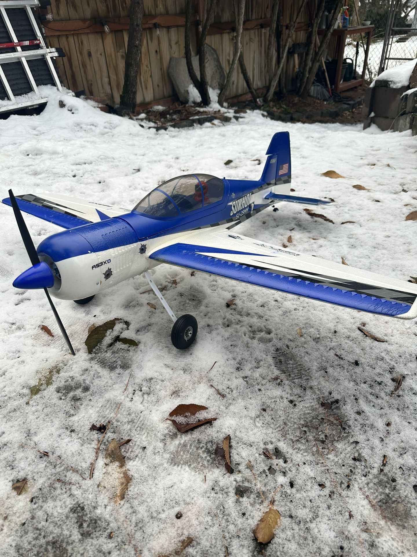 RC aerobatic airplane