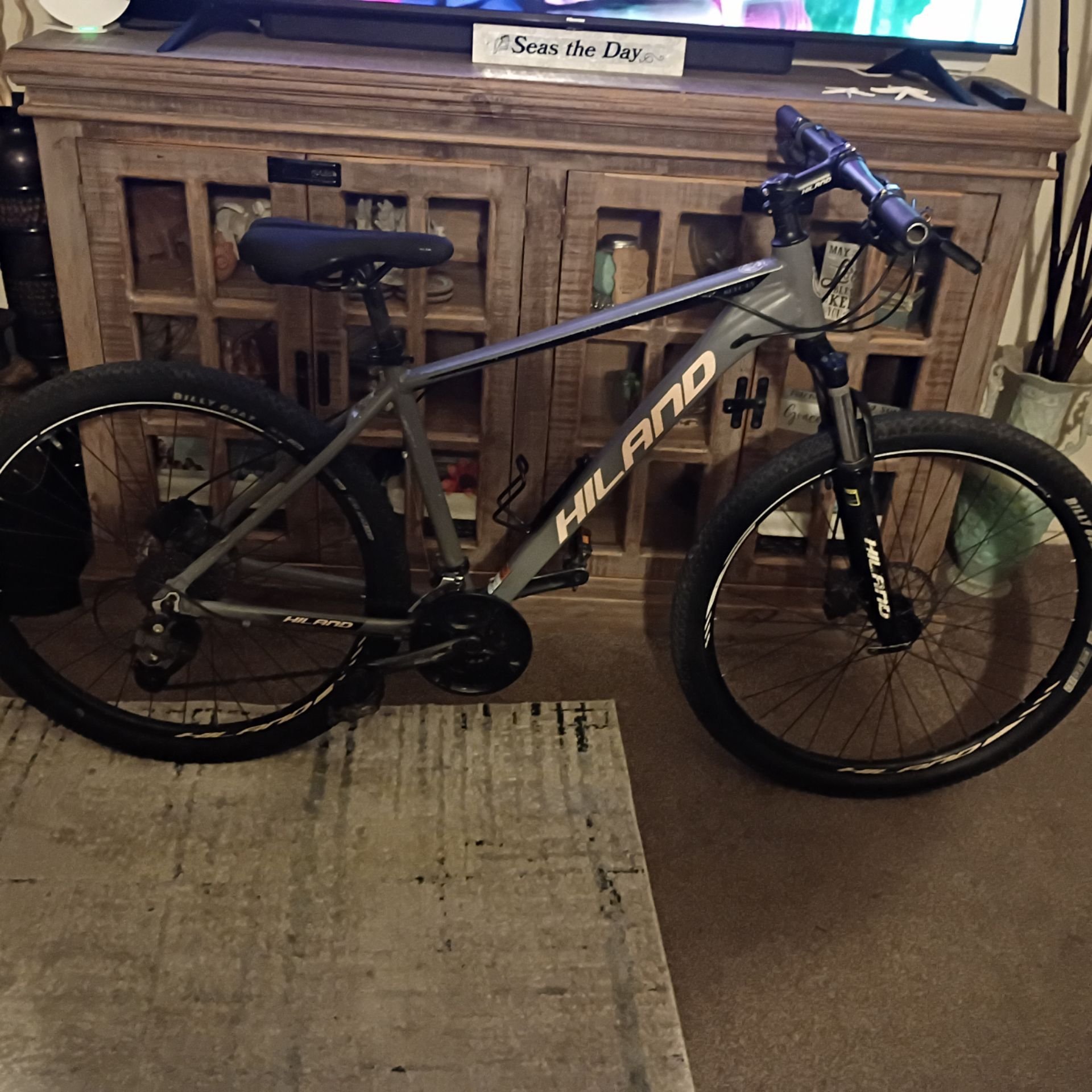 Mountain bike