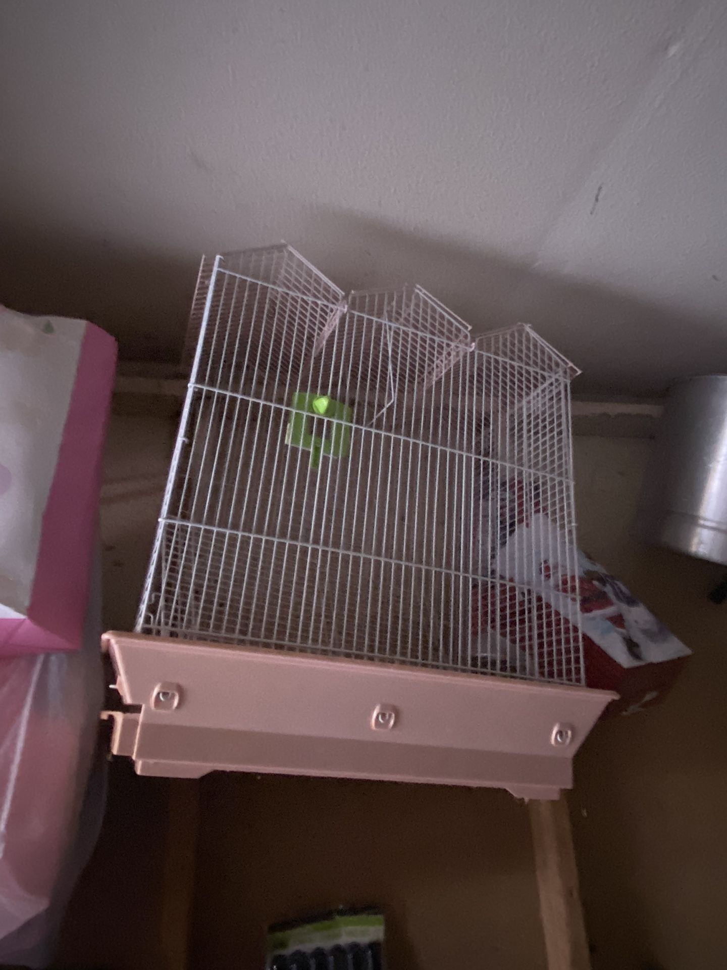 Bird Cage