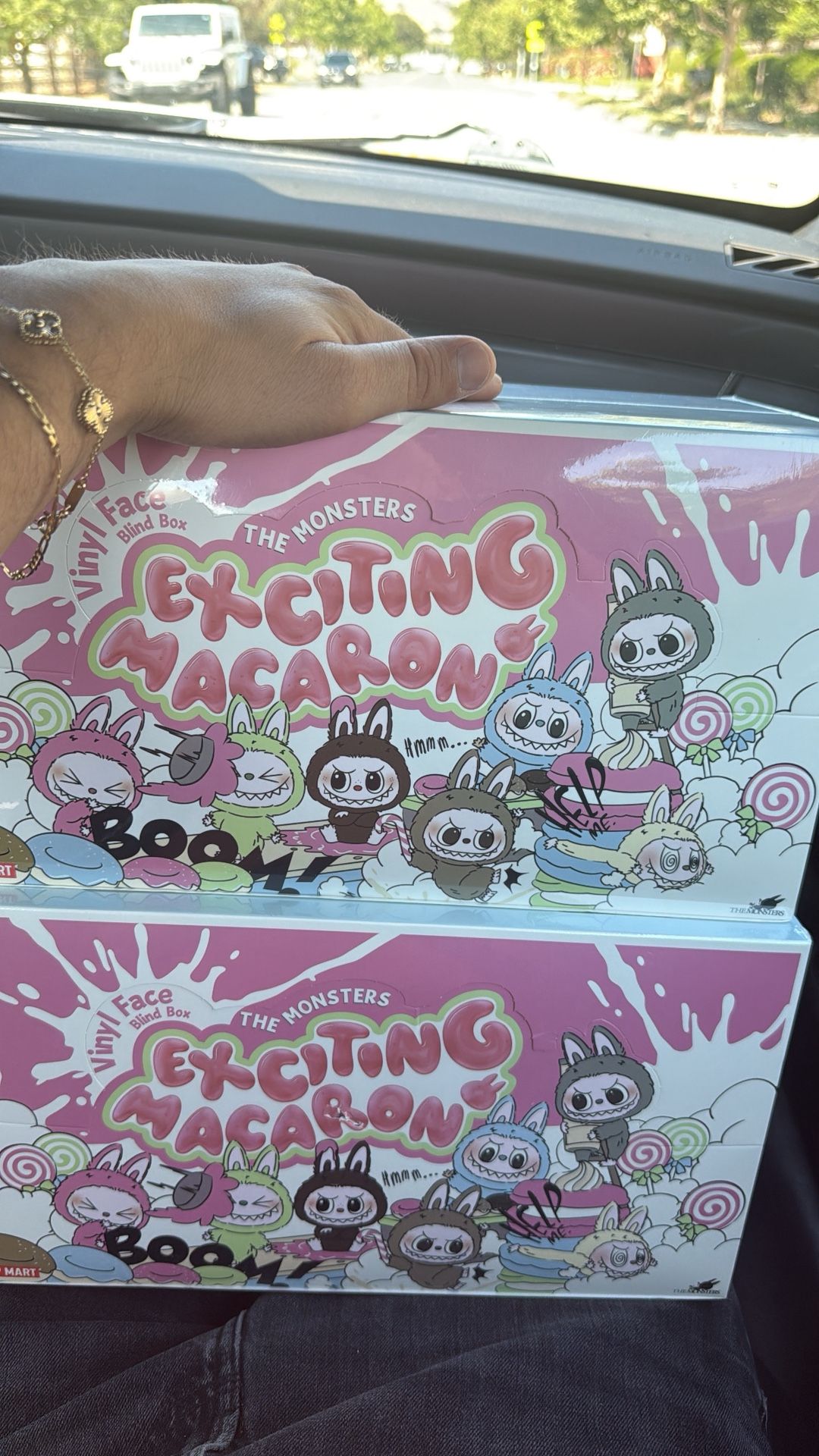 Exciting Macaron Labubu 