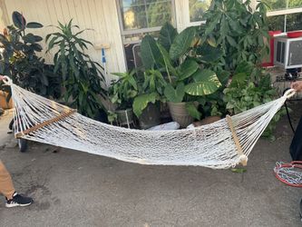Hammock