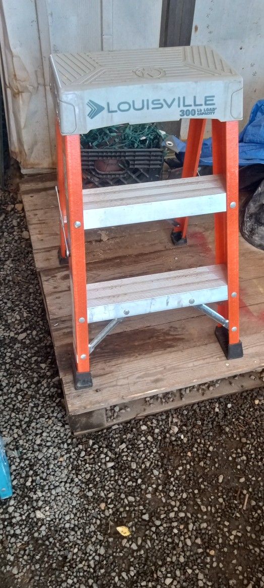Ladders For Sale
