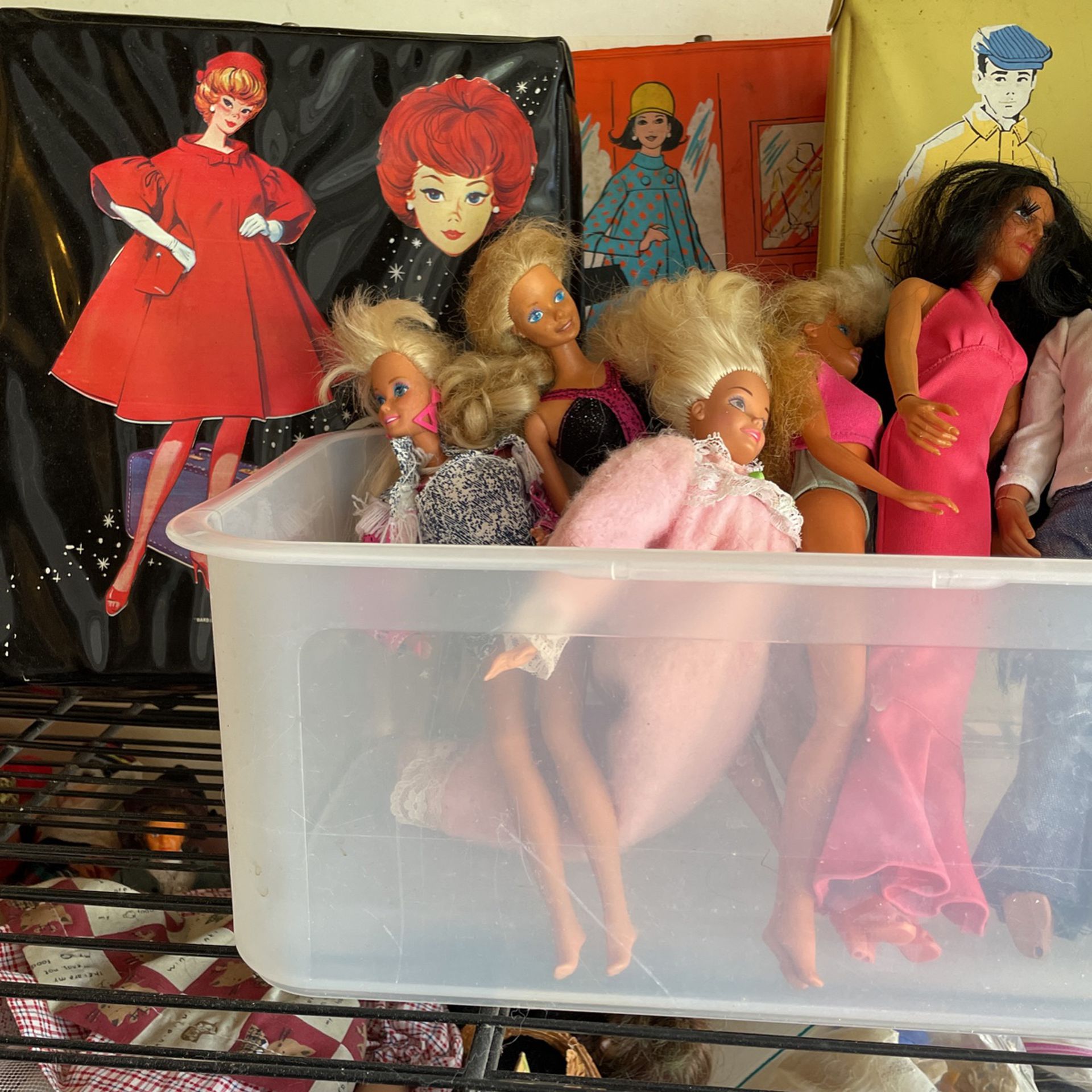 Barbies And Cases
