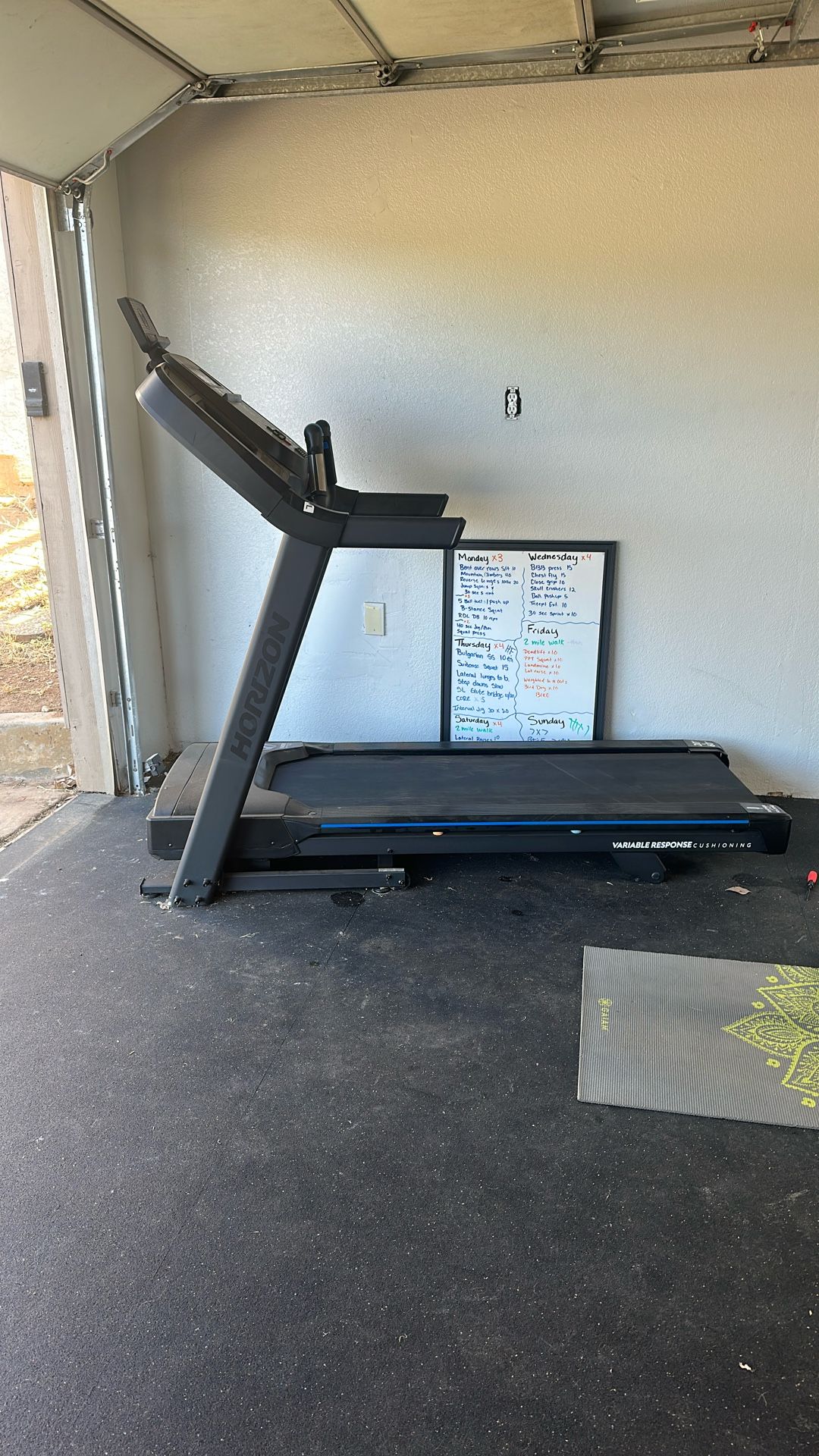 Horizon Treadmill