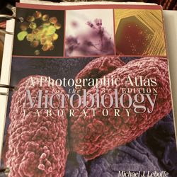 Microbiology Photographic Atlas