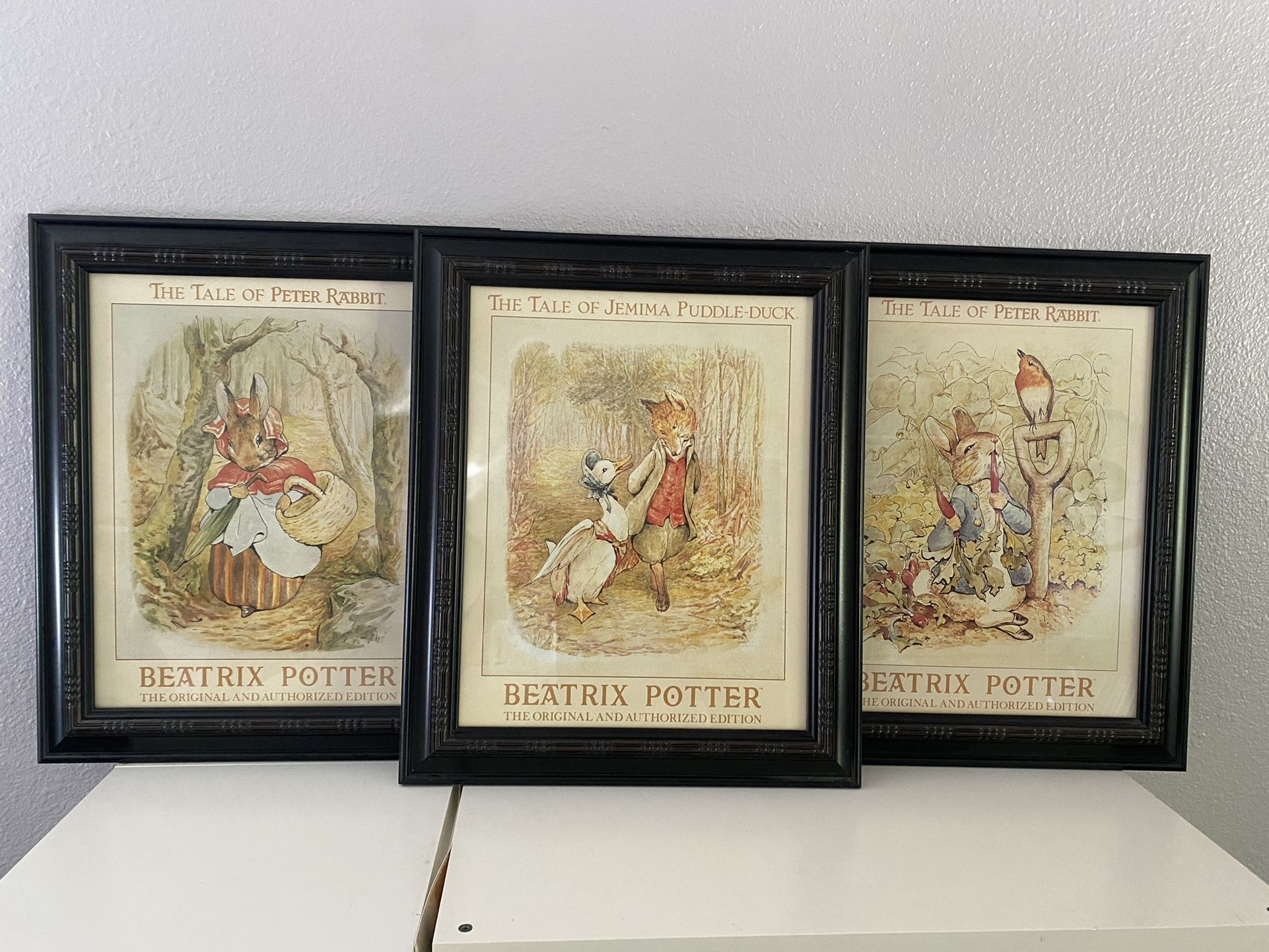 Large Beatrix Potter Peter Rabbit Framed Art