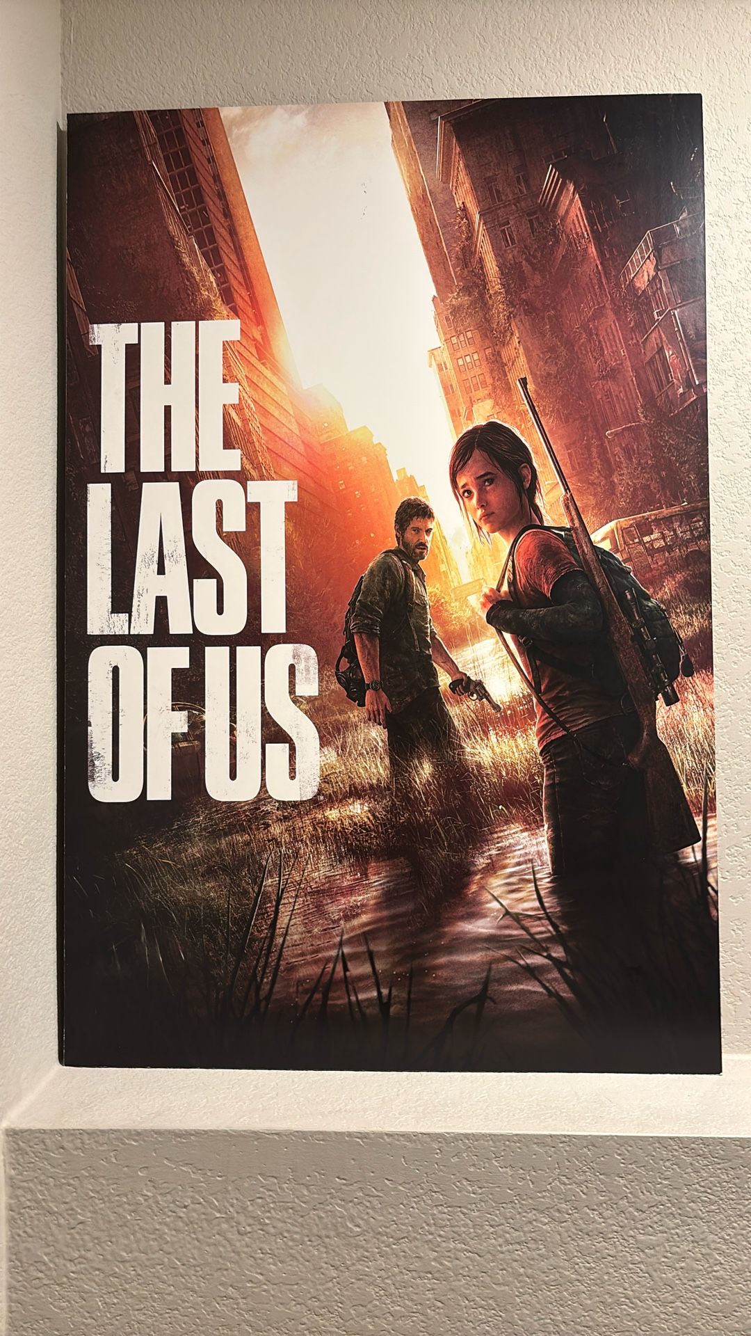 Last Of Us Poster