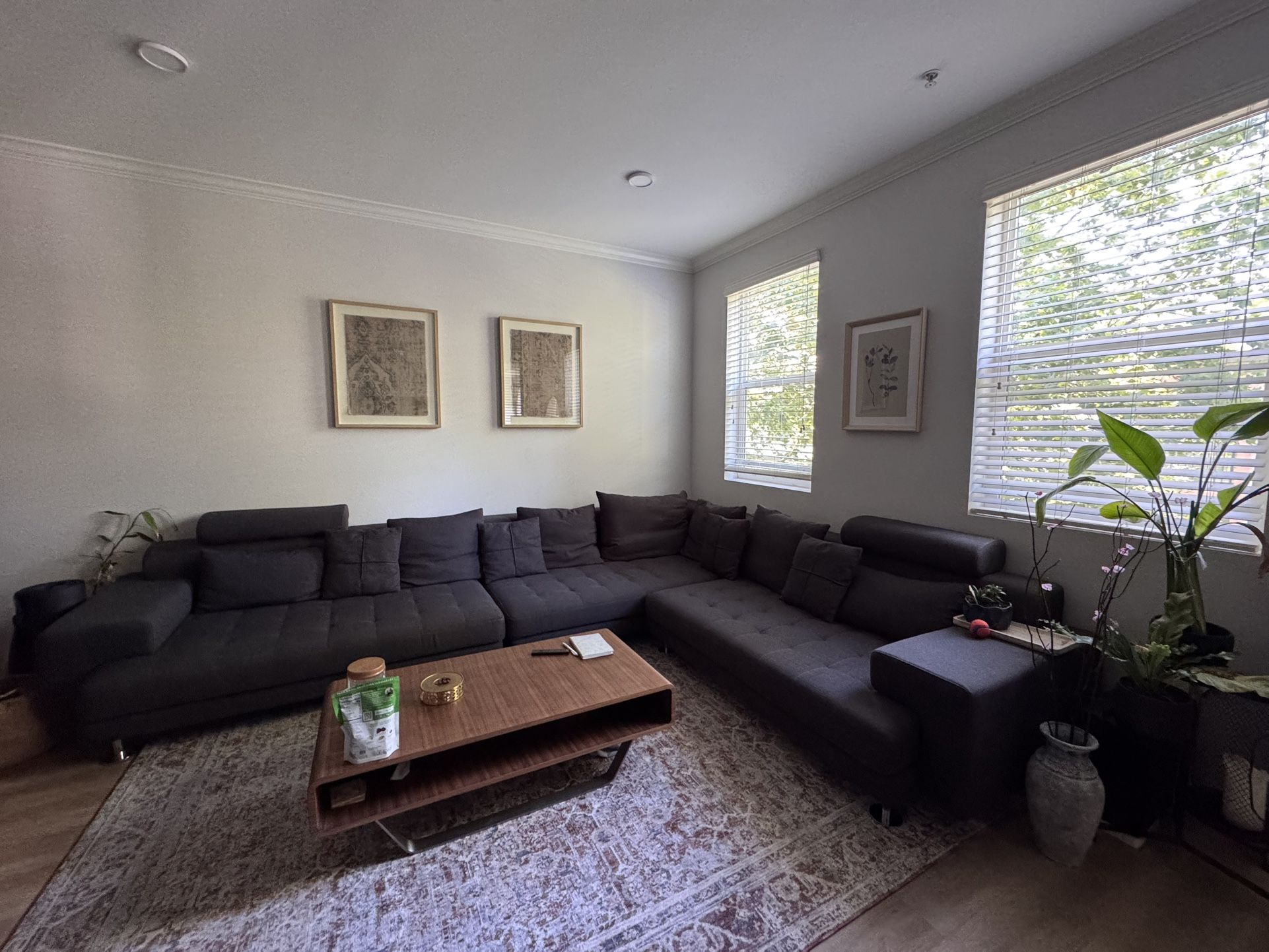 Sectional Couch