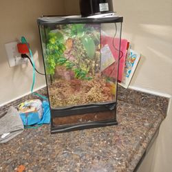 Brand New Terrarium