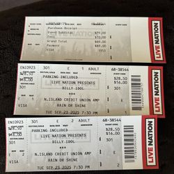 2 Tickets To Billy Idol Tonight 
