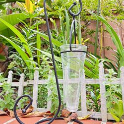 Free Hanging Flower Holder Glass Vase