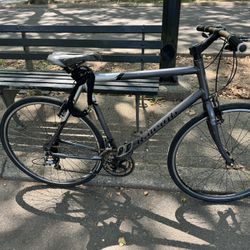 Raleigh Bike 