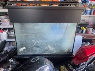 Salt Water Fish Tank 70gal