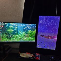 27" Acer Monitor Dual Monitors 60hz 1920x1080