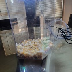 Fish Tank And Filter